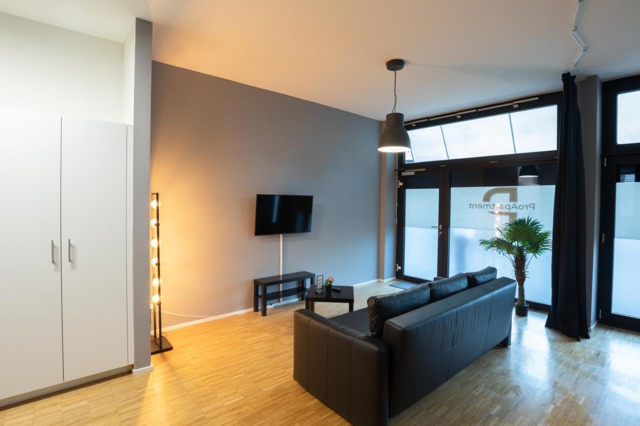 Proapartment บาเซิล ภายนอก รูปภาพ