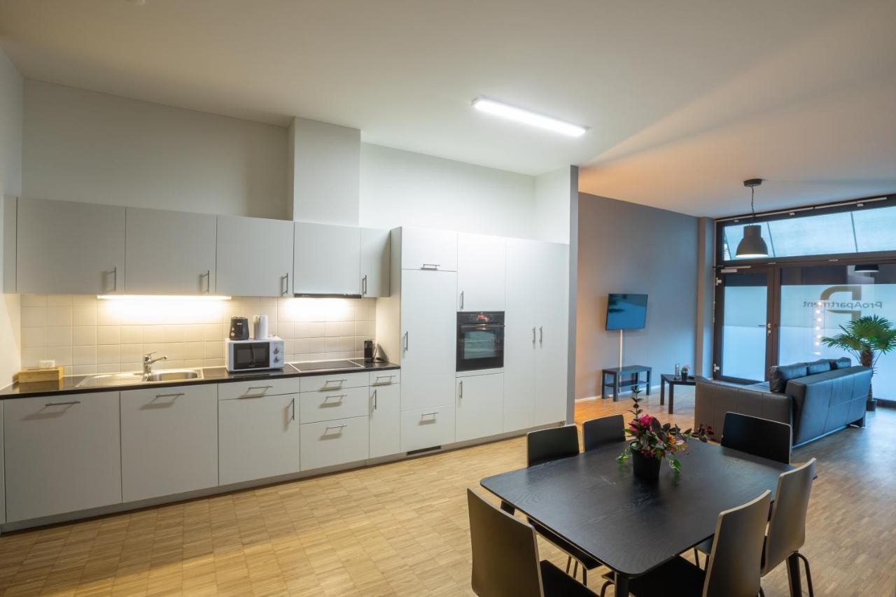 Proapartment บาเซิล ภายนอก รูปภาพ